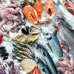 Камера хранения морепродуктов
