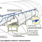 Туманообразователи для зеленого черенкования