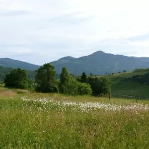 Отдых и лечение в Трускавце и Сходнице