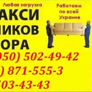 перевозка Профлист Донецк. грузовые перевозки профнастил в Донецке