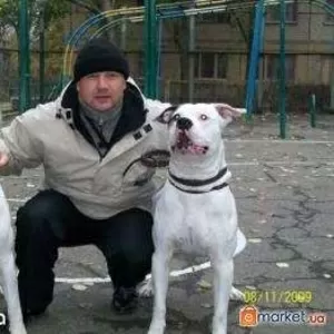 Дрессировка собак в Донецке.
