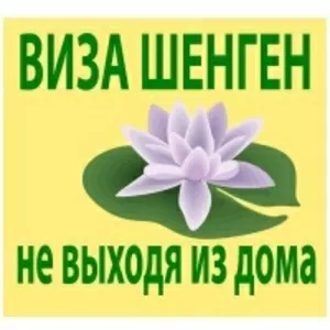 Виза мульти шенген на год 730евро!!!