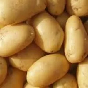 Картошка 15.5 рублей