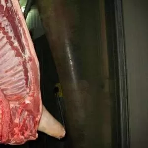 Реализуем свинини охлажденную на территории ДНР