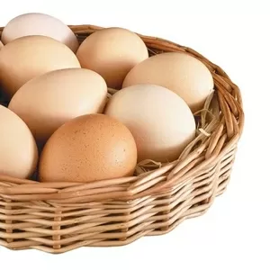 Яйцо куриное от производителя по доступным ценам !