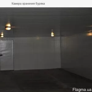  Камера хранения буряка