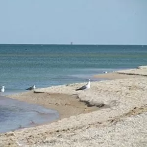 Земельный участок на побережье Азовского моря