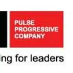 PULSE PROGRESSIVE COMPANY