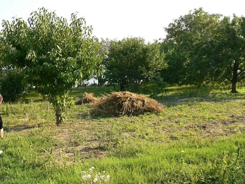 Продается дом в селе Рожок,  Неклиновский район (Ростовская область). 4