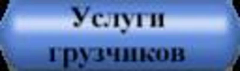 Услуги грузчиков. Все виды переездов.Мусоровывоз.Демонтаж.транспорт. 2