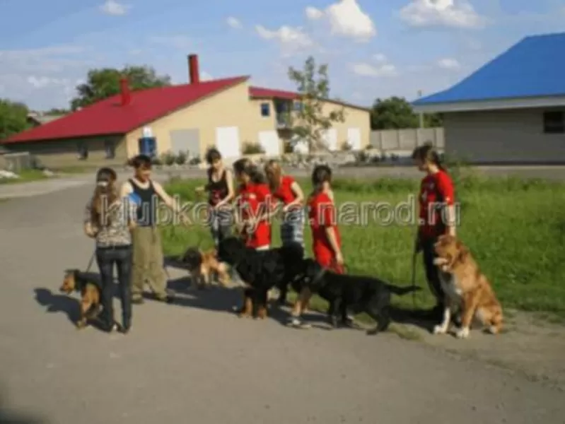 Гостиницы для животных в Донецке и области.