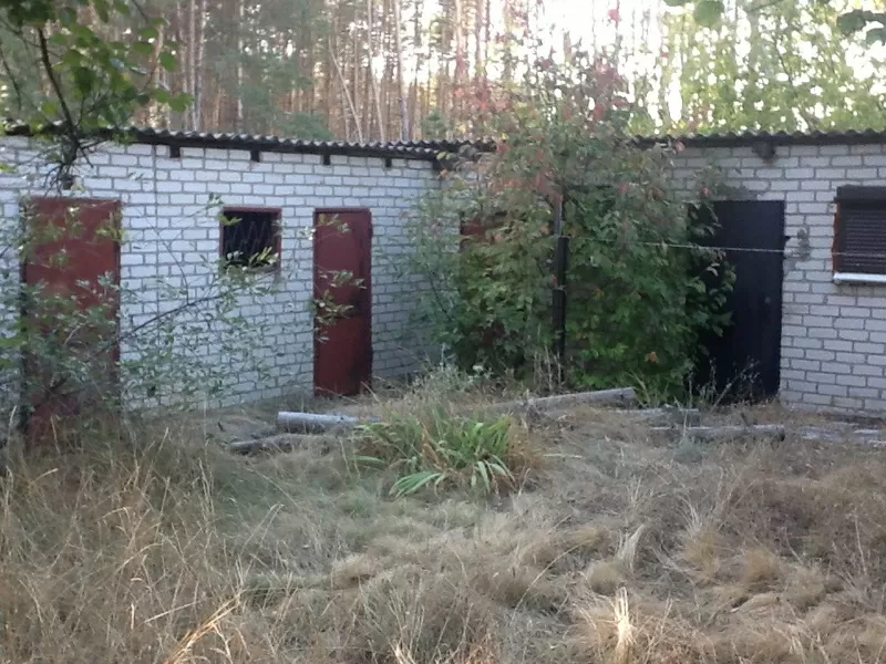Продажа дома с выходом в лес Краснолиманский район Донецкая область  2