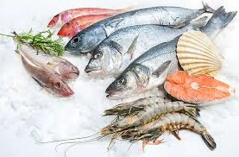 Камера заморозки морепродуктов