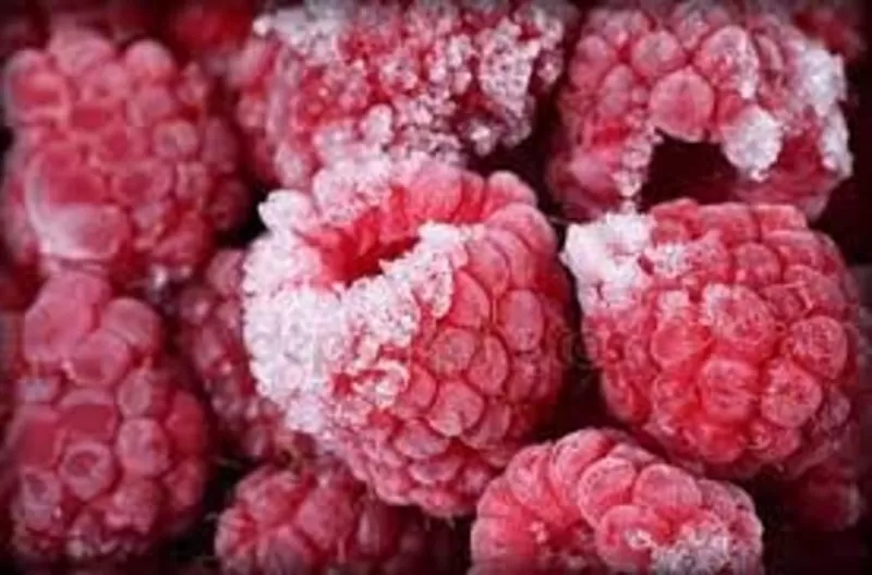 Камера заморозки фруктов 2