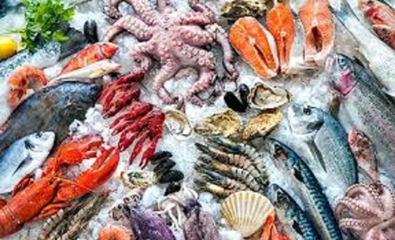 Камера хранения морепродуктов