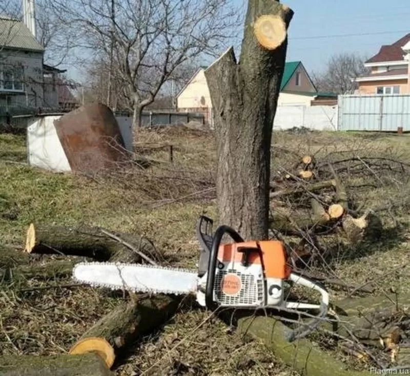 Професійні послуги зі спилювання дерев будь-якої складності